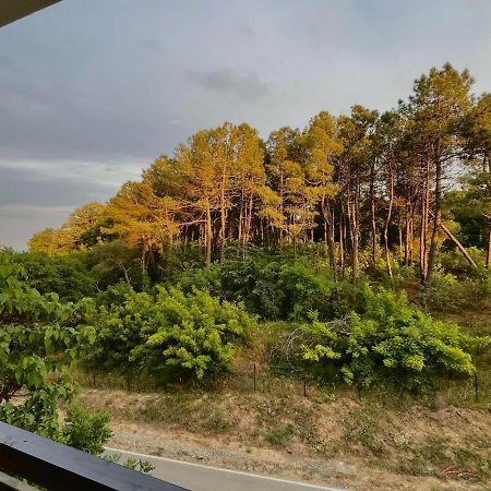 One Bedroom Apartment In G Life Sozopol Exterior foto